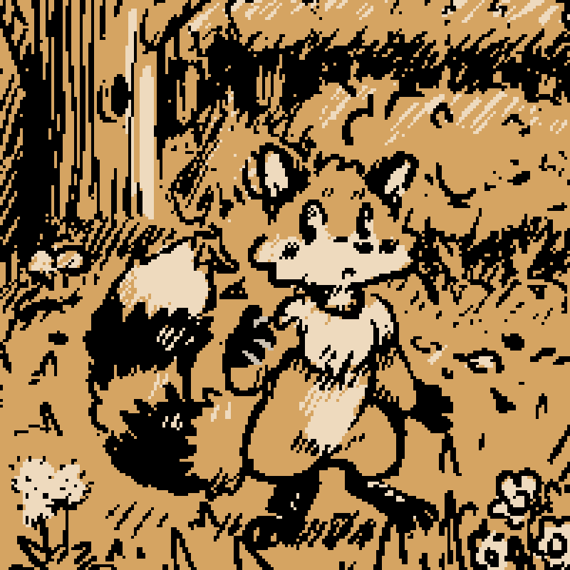 11 Apr 2025 - foraging in sunset forest - click to view